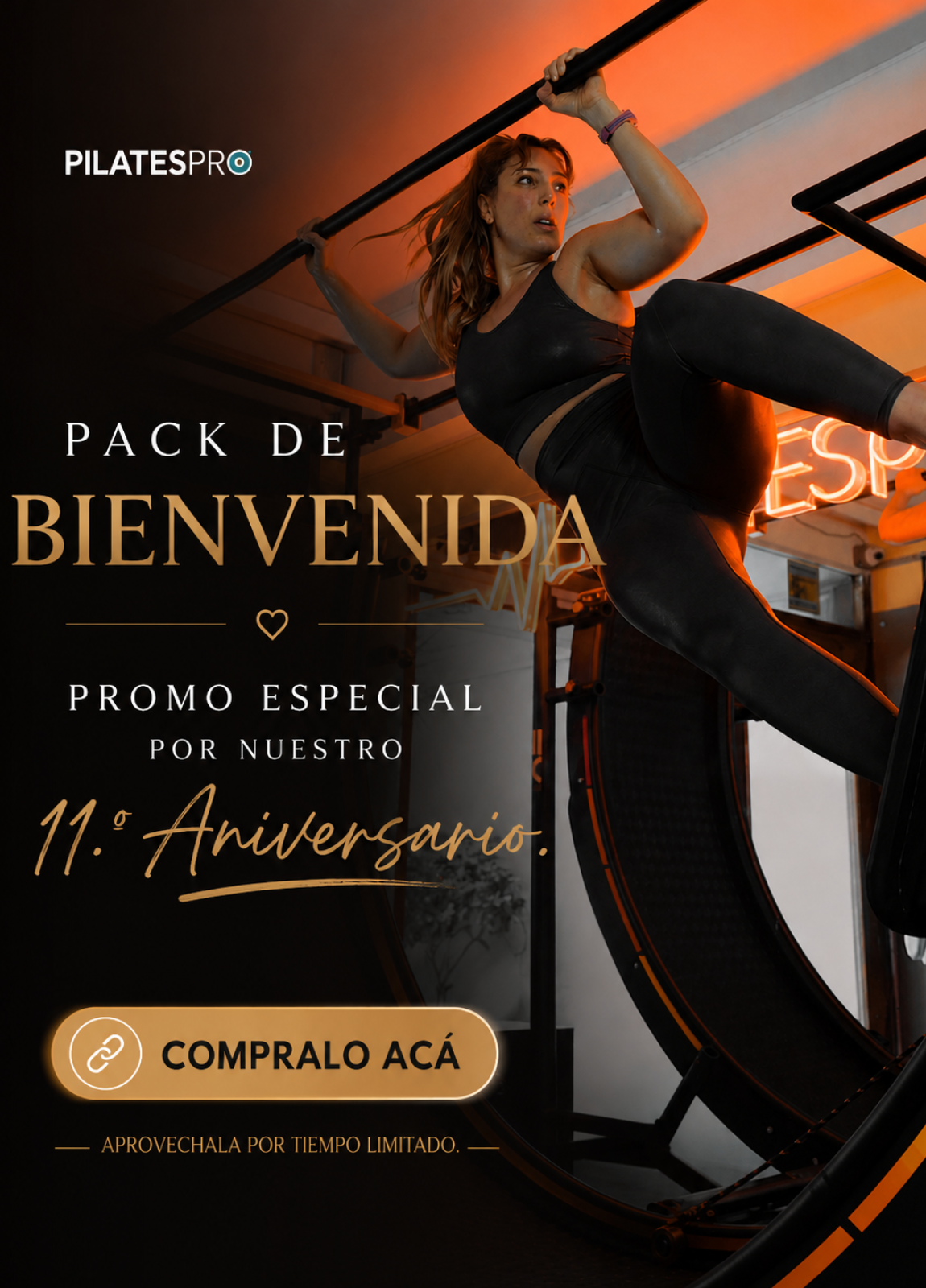 Novedad